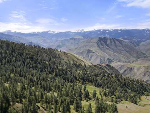 TBD Salmon River, Riggins, ID 83549