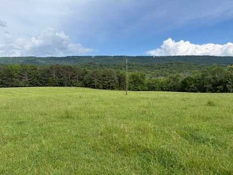 0 County Rd 239, Valley Head, AL 35989