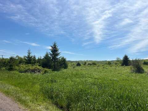 2 VL Fairview Road, Farmersville Station, NY 14060