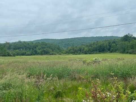 351 Hunt Rd, Buskirk, NY 12028