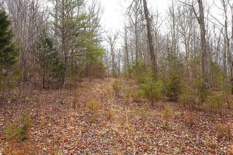9095 Fairplay Rd, Cundiff, KY 42728