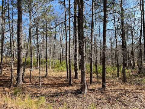 105 Armory Ct (Battery Ct.), Ninety Six, SC 29666