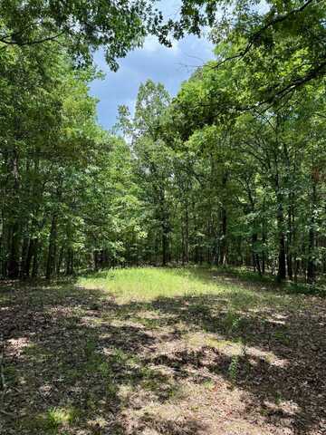 55 County Road 163, Carrollton, MS 38917