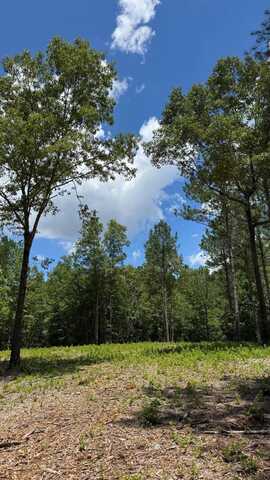 0 Cameron Hill Road, Cameron, NC 28326
