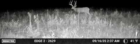 163 CR 402, Lindrith, NM 87029