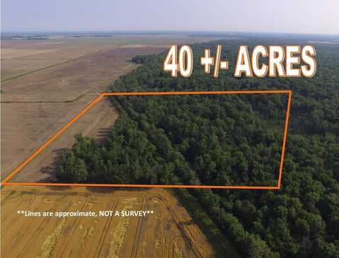 CR 2975 E & CR 1530 N, Mt. Erie Township, IL 62446