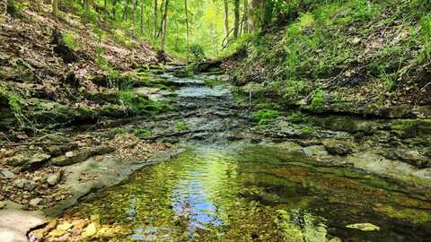 19285 Farm Road 1010, Washburn, MO 65772
