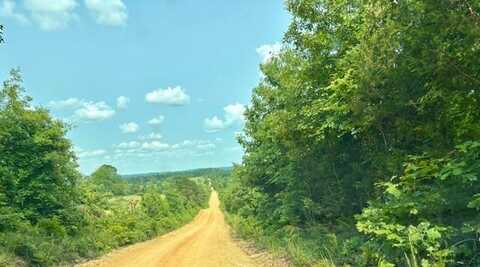 138 Upper Guntharp Road, Warm Springs, AR 72460