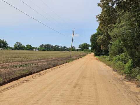 0 Baker Whatley Road, County Road 519, Midland City, AL 36350