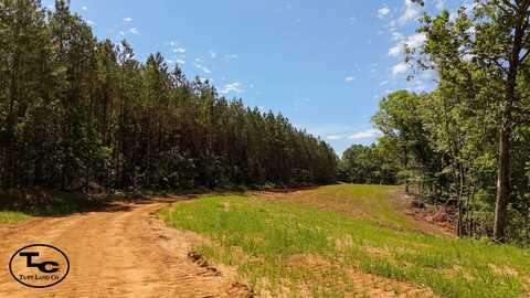 Wolf Pen Rd, Pocahontas, TN 38061
