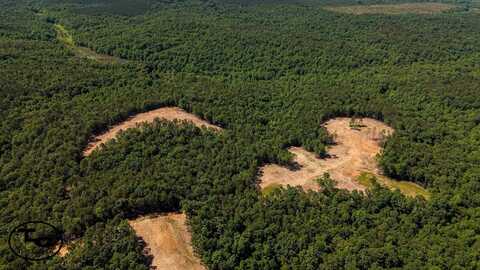 Wolf Pen Rd, Pocahontas, TN 38061