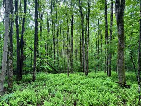 1.1 Jones Hill Rd, German, NY 13801