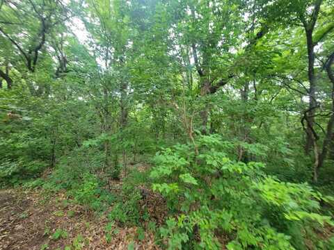 BLK 44 Lots 1-11, Brownville, NE 68321