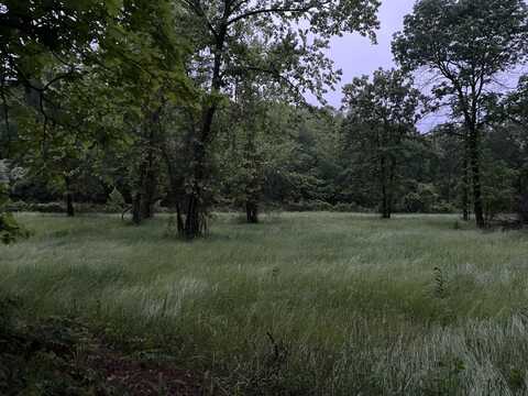 Broken Bow Lane, Bismark, AR 71929
