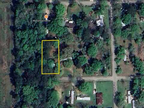 16985 Lisa Dr, Livingston, LA 70754