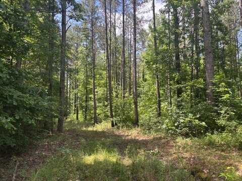 0 Carter Road, Macon, MS 39341