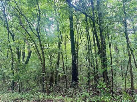 0 Independence Bottom Road, Selma, AL 36701