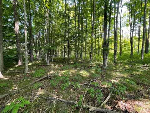 17+Acres Marsh Rd, Kingsley, MI 49649