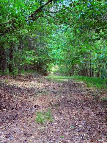 454 County Road 163, Carrollton, MS 38917
