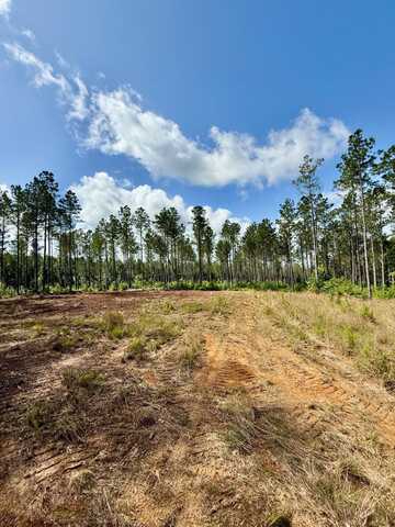 2975 MS-393, Louisville, MS 39339
