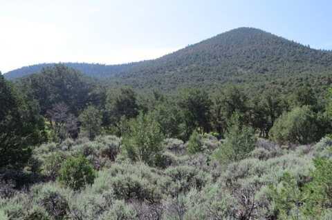 20 miles north Cerro Montoso Rd, Taos, NM 87571