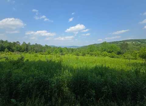 0WP Town Line Rd, McGraw, NY 13101