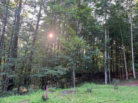 TBD Cranberry Creek Road, Laurel Springs, NC 28644