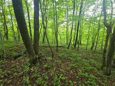 0WP Keller* Rd, Cherry Valley, NY 13320