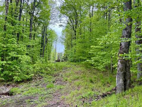 532 State Route 8, Piseco, NY 12139