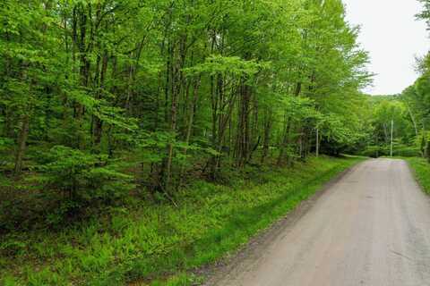0 Deer Run Rd., Hancock, NY 13783
