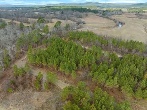 2 Blue Bunting Road, Smithville, OK 74957