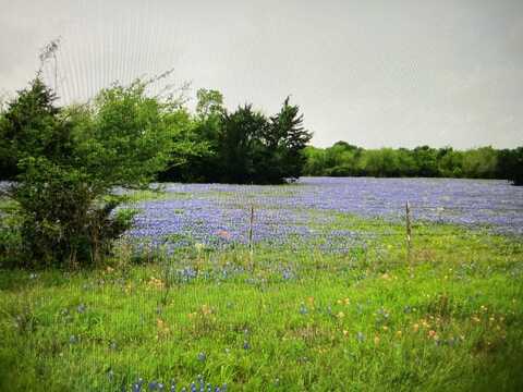 TBD A0019 FJ Greenwood, Track 3, ACRES 82.56 Fronting FM 2445, Navasota, TX 77868