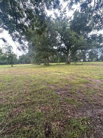 0 Capace Rd Lot 2, Independence, LA 70443