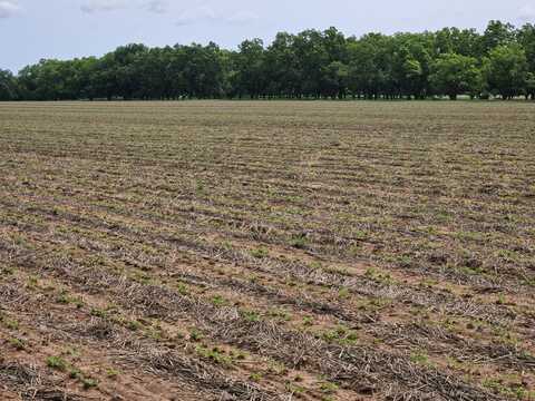 0 County Road 73, Midland City, AL 36350