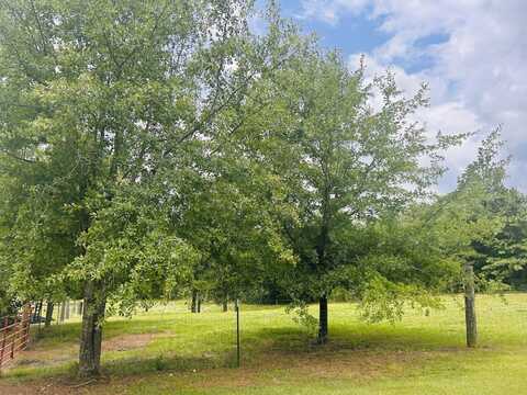0 Draper Road, Talladega, AL 35160
