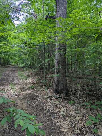 0 Coal Creek Road, Crofton, KY 42217