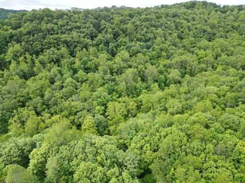 123 Charleston Road, Spencer, WV 25276