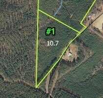 TBD Graham Rd, Candor, NC 27229