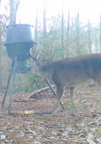 00 Ebenezer Church Rd, Bassfield, MS 39421