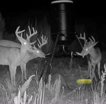 00 Ebenezer Church Rd, Bassfield, MS 39421