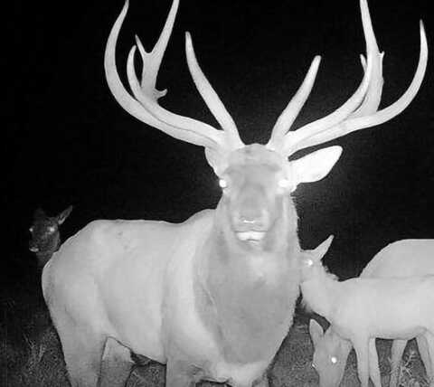 WP Lot 001, Morris, PA 16938