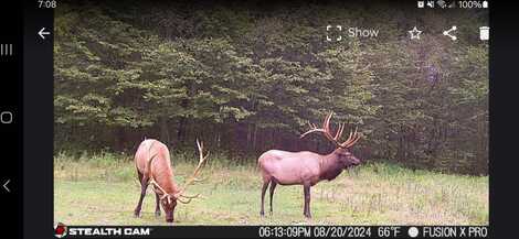 WP Lot 001, Morris, PA 16938