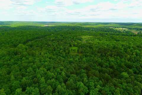 Gatewood Mo, Gatewoood, MO 63942