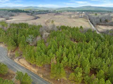 3 Blue Bunting Road, Smithville, OK 74957