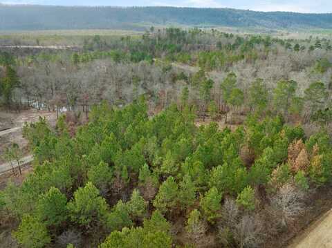 16 Blue Bunting Road, Smithville, OK 74957