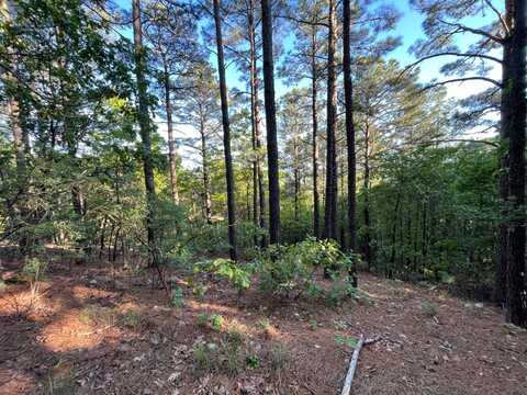 40 Wildhorse Mountain Road, Nashoba, OK 74558