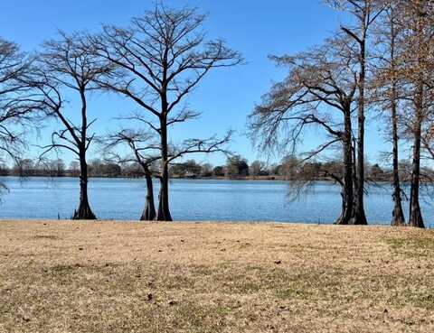 130 Botany Bay Road, Saint Joseph, LA 71366