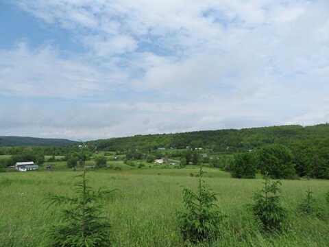 0 Butler Rd, Newport, NY 13416