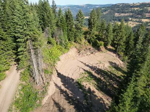 1684 Tranquil Lane, Orofino, ID 83544