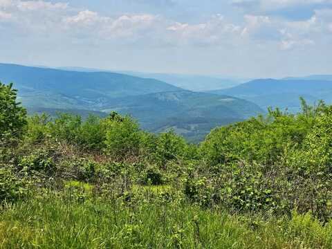 1891 Jack Mountain Road, Monterey, VA 24465